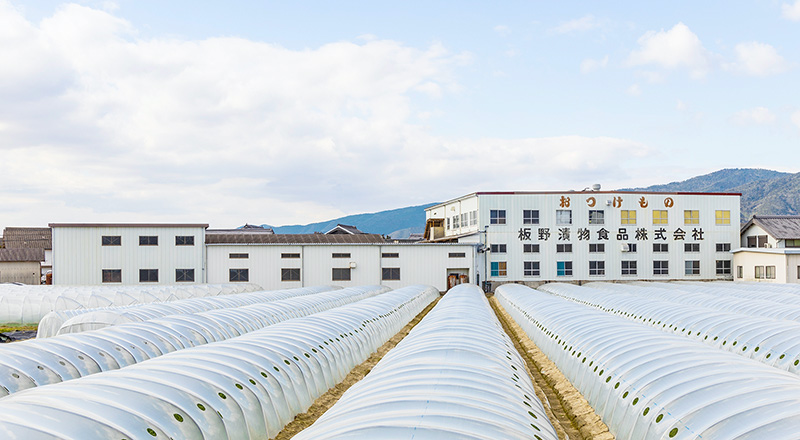 写真：社屋外観