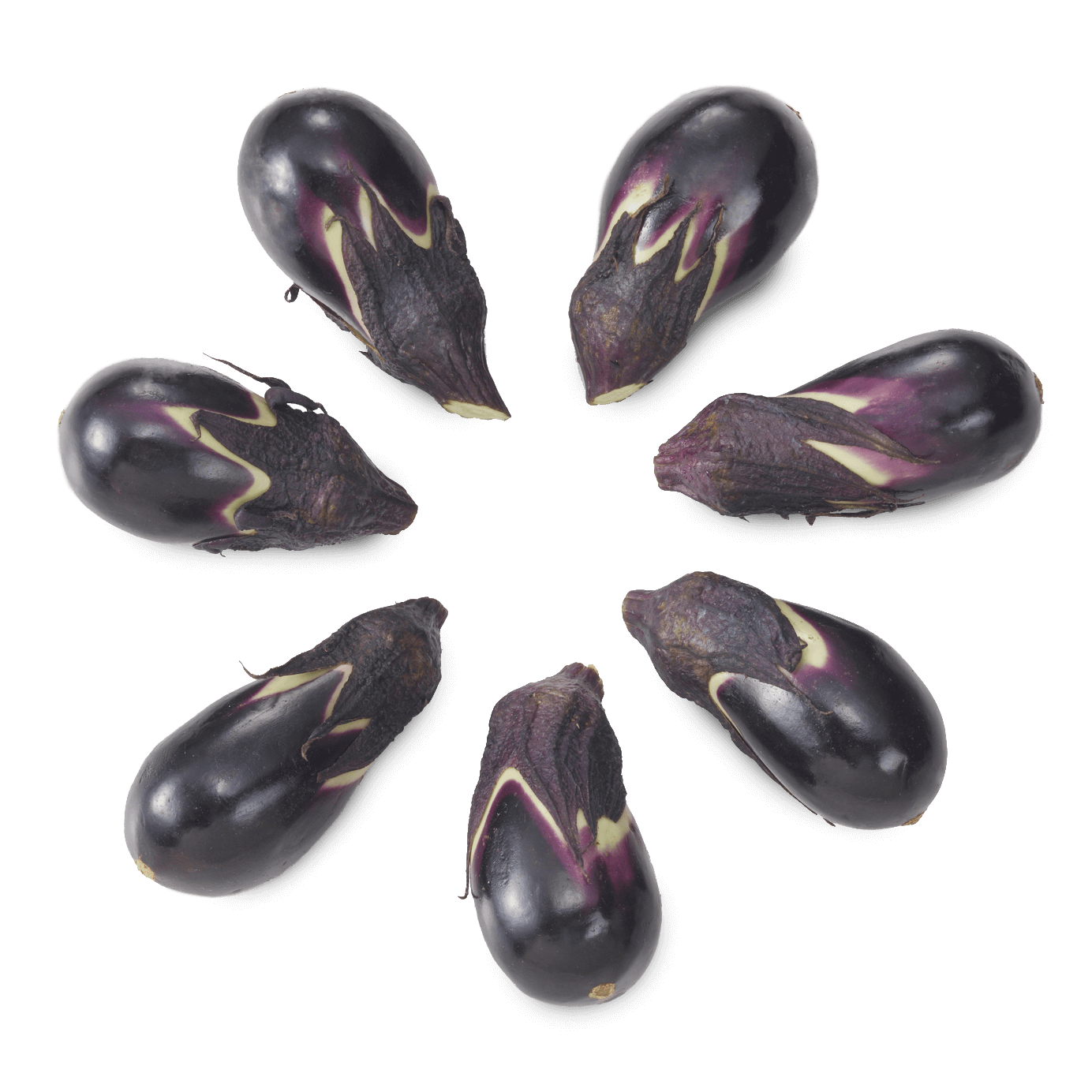 阿波のちびなす